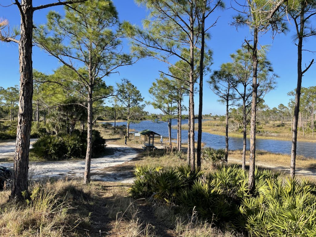 A winter day at Fred C. Babcock / Cecil m. Webb Wildlife Management Area Charlotte County Florida.